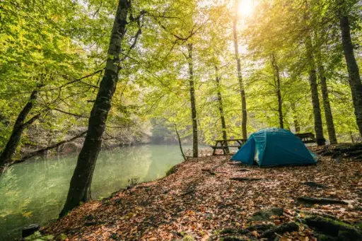 Large River View Campsite